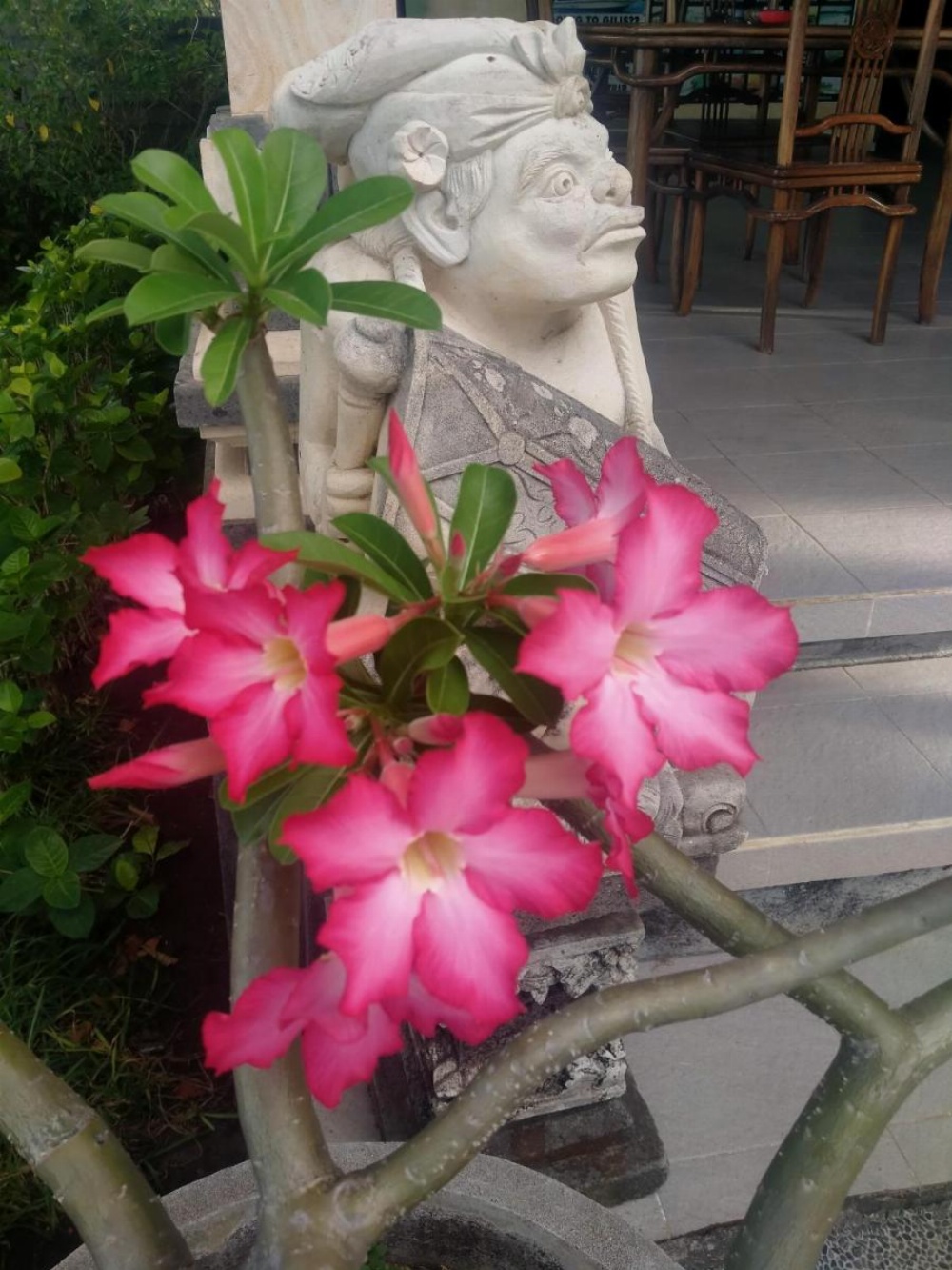 Coral Bay Bungalows Amed Bali